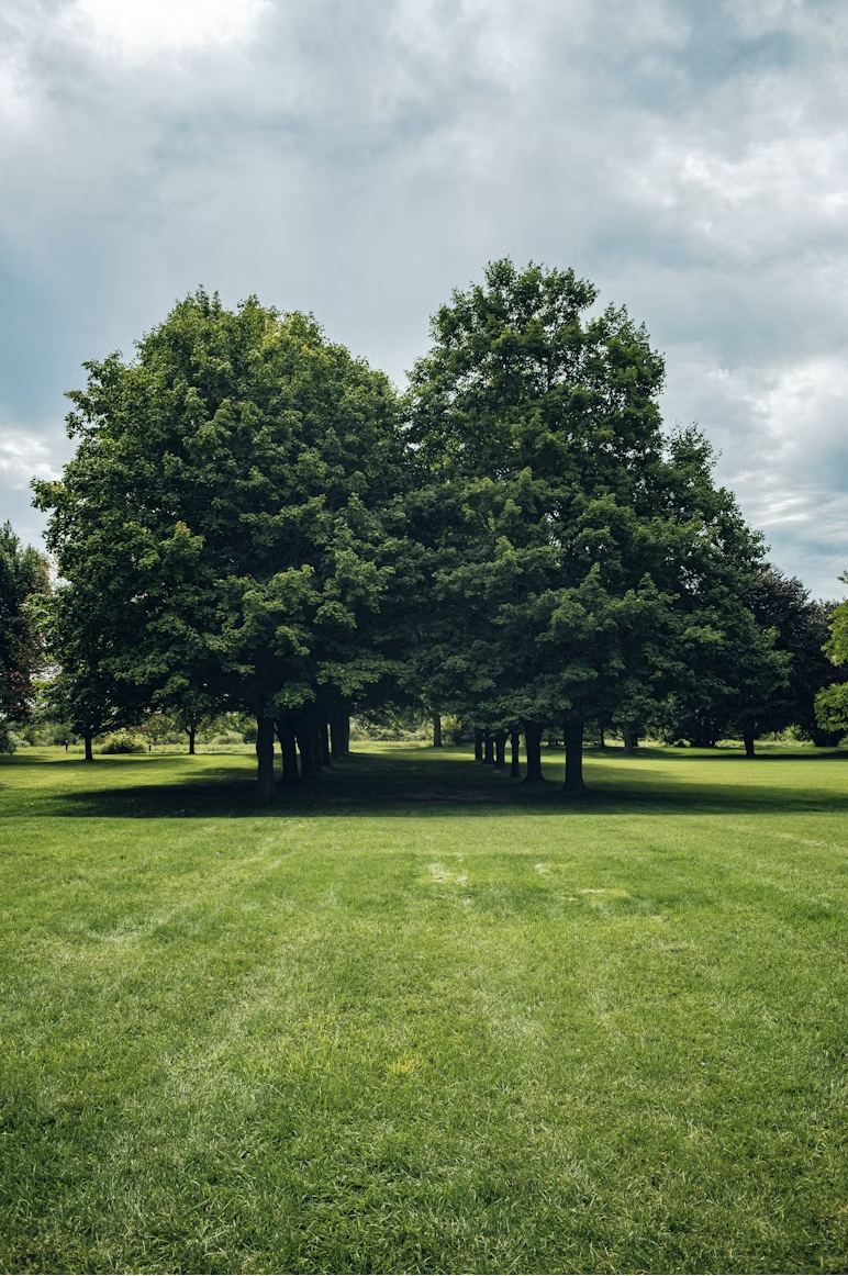 A park in Carmel, Indiana