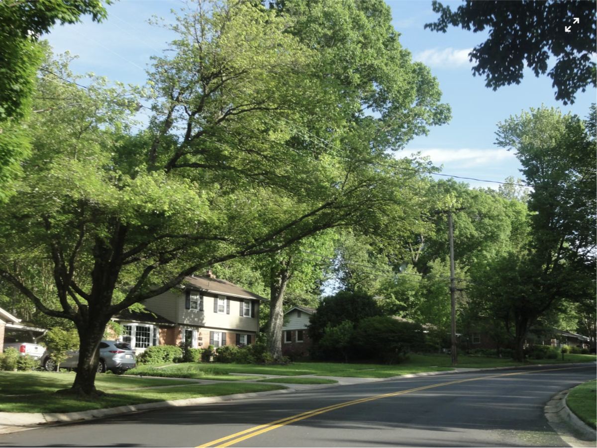 A residential neighborhood street in Fishers, Indiana