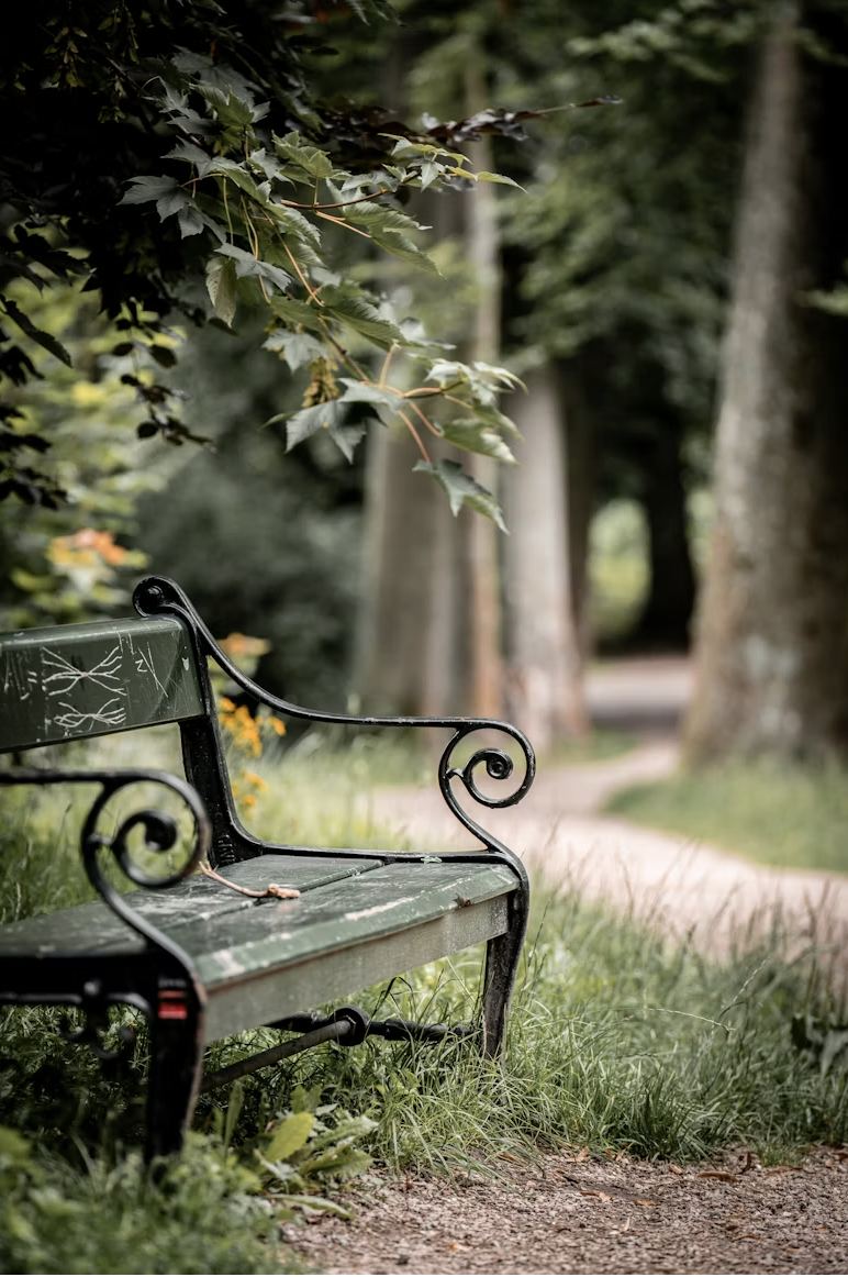A park in Westfield, Indiana